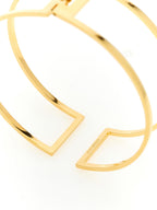 Elisabetta Franchi Gold Brass Necklace