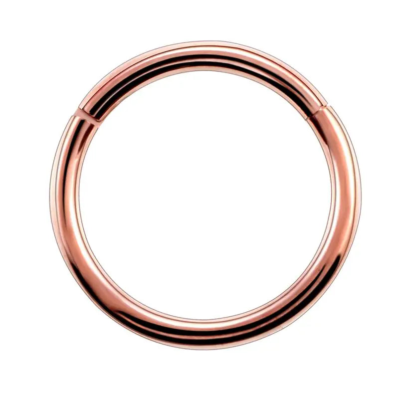 1PC G23 Titanium Hinged Segment Nose Ring 16g&14g Nipple Clicker Ear Cartilage Tragus Helix Lip Piercing Unisex Fashion Jewelry