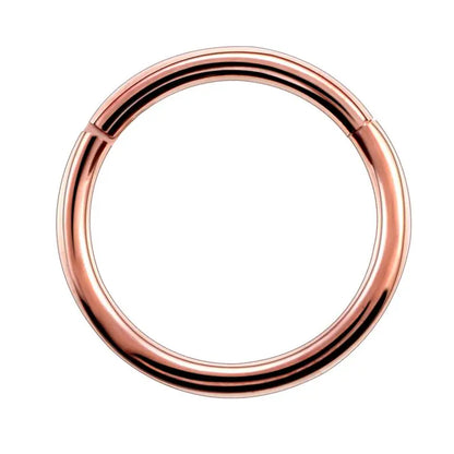 1PC G23 Titanium Hinged Segment Nose Ring 16g&14g Nipple Clicker Ear Cartilage Tragus Helix Lip Piercing Unisex Fashion Jewelry