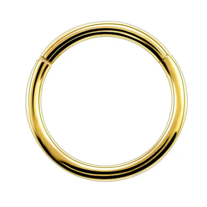 1PC G23 Titanium Hinged Segment Nose Ring 16g&14g Nipple Clicker Ear Cartilage Tragus Helix Lip Piercing Unisex Fashion Jewelry