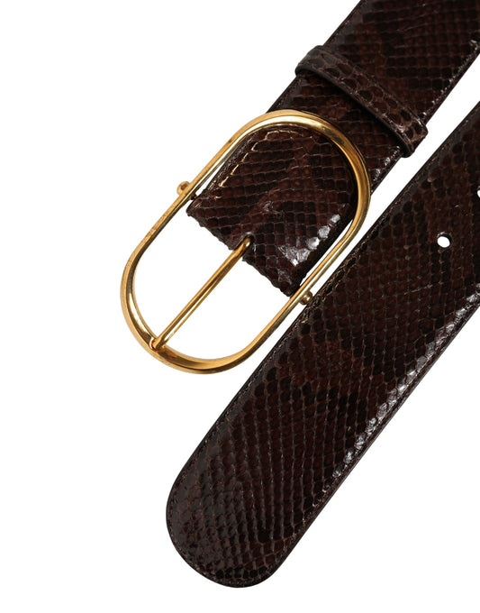 Dolce & Gabbana Brown Python Leather Gold Metal Buckle Belt - YSONA