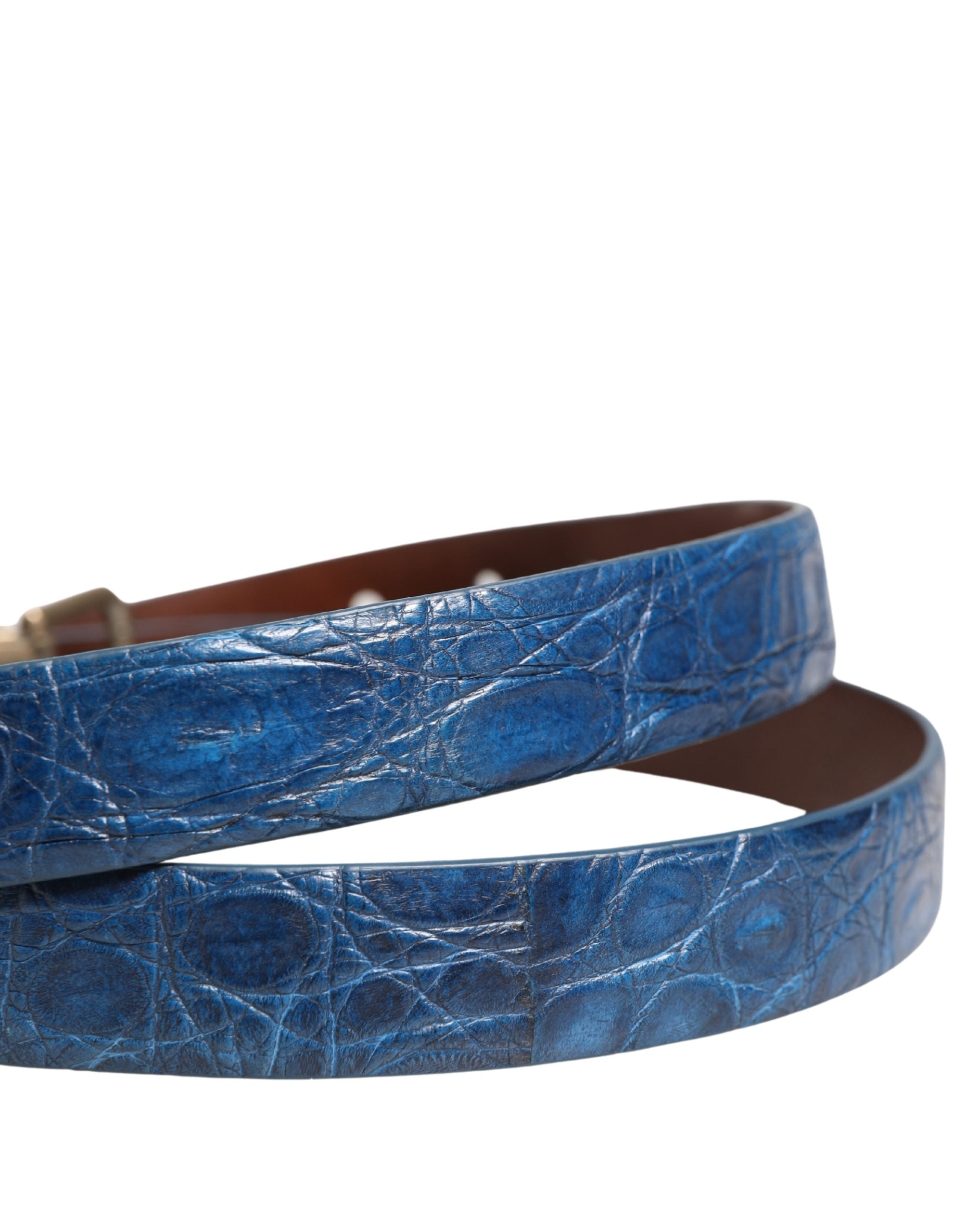 Dolce & Gabbana Navy Blue Leather Gold Tone Metal Buckle Belt - view 5