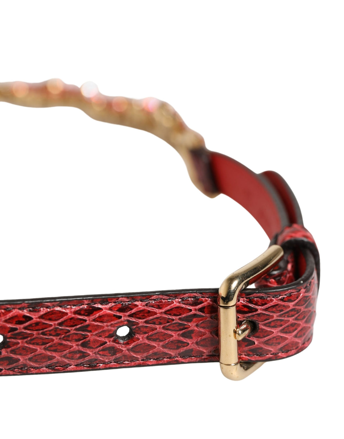 Dolce & Gabbana Red Leather Daisy Crystal Embellished Waist Belt - view 4