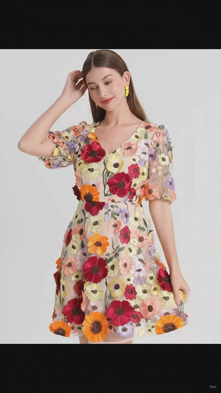 Plus Size Embroidered Floral V-Neck Mini Dress